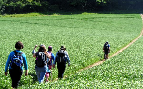 On the Stour Valley Walk